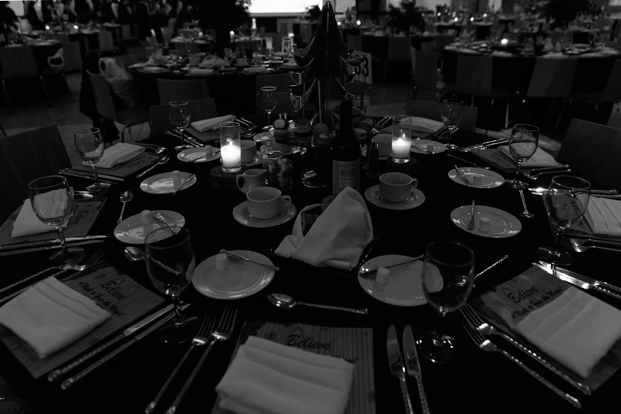 Gala 2015204.jpg