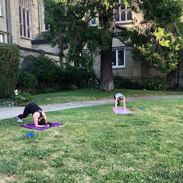 Outdoor classes started this week! We are limited to only 12 students so you have to register early! We are keeping students at least 10ft apart to be safe!

See you all soon!

Live streaming classes are still available!

#hellafit #truve #oakland #o