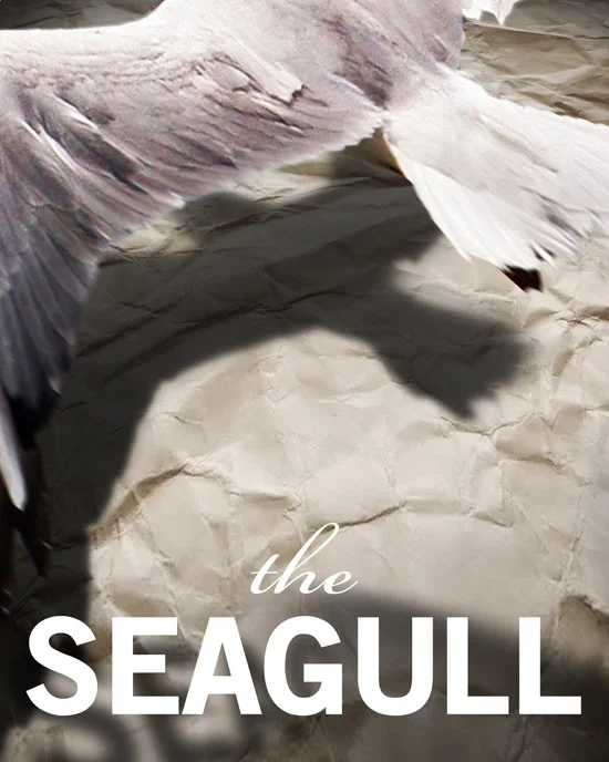 SEAGULL-wTITLE.jpg