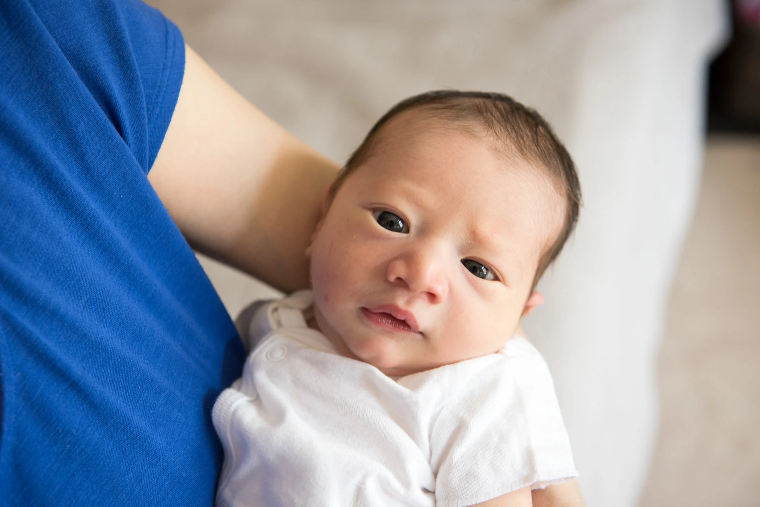 Washington DC Newborn Photography