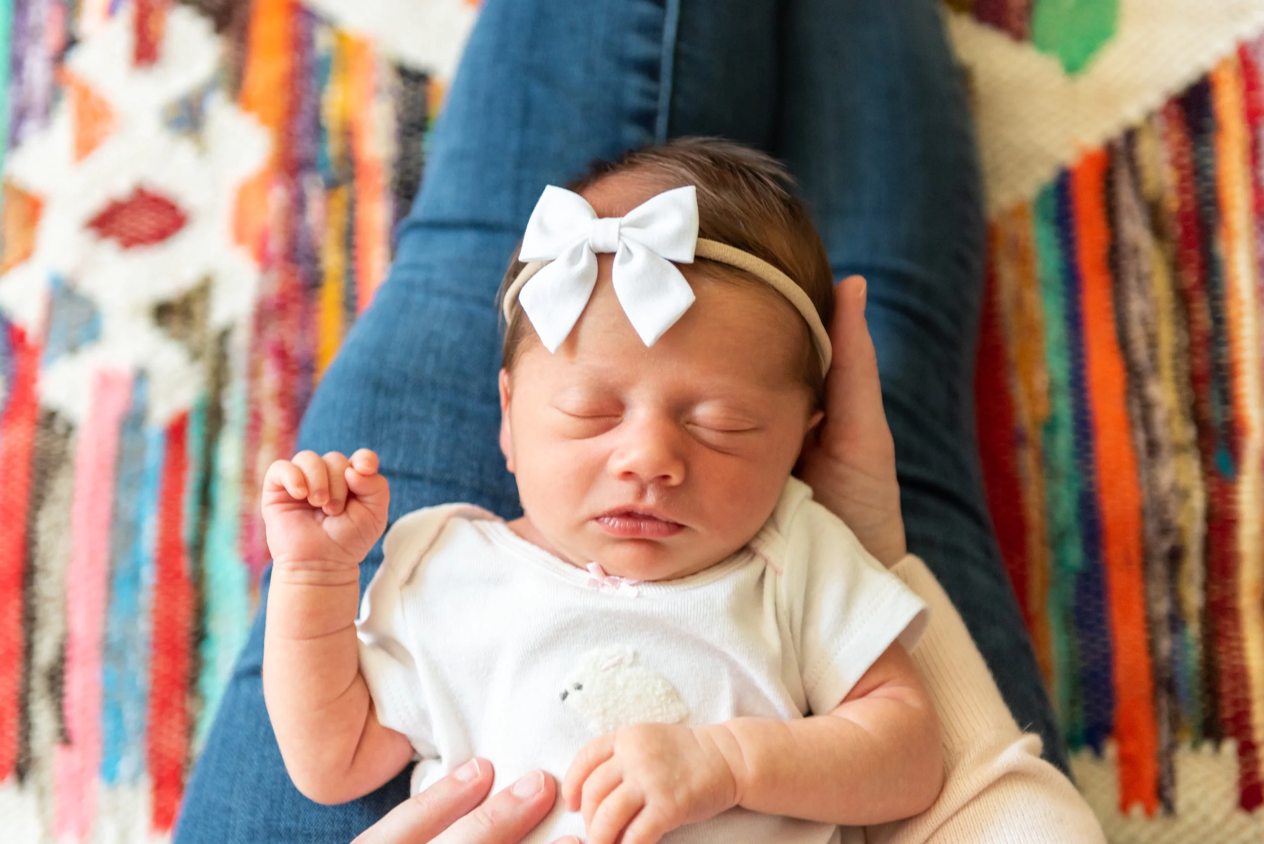 Washington DC Newborn Photographer