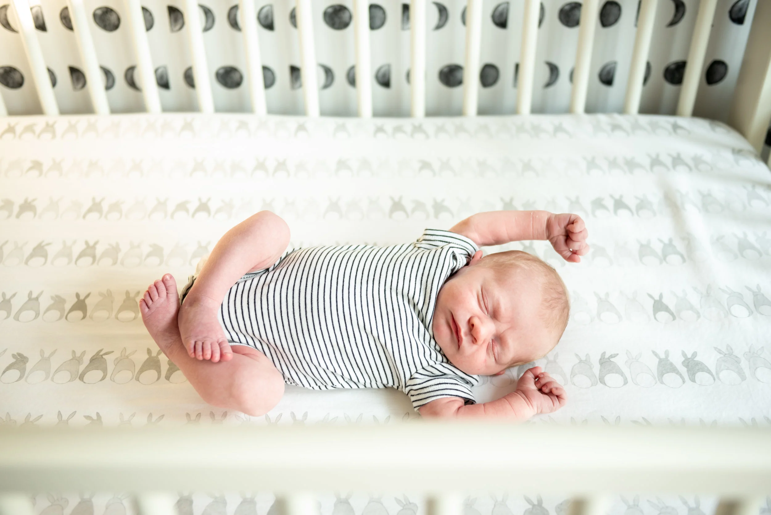 DC Newborn Photographer