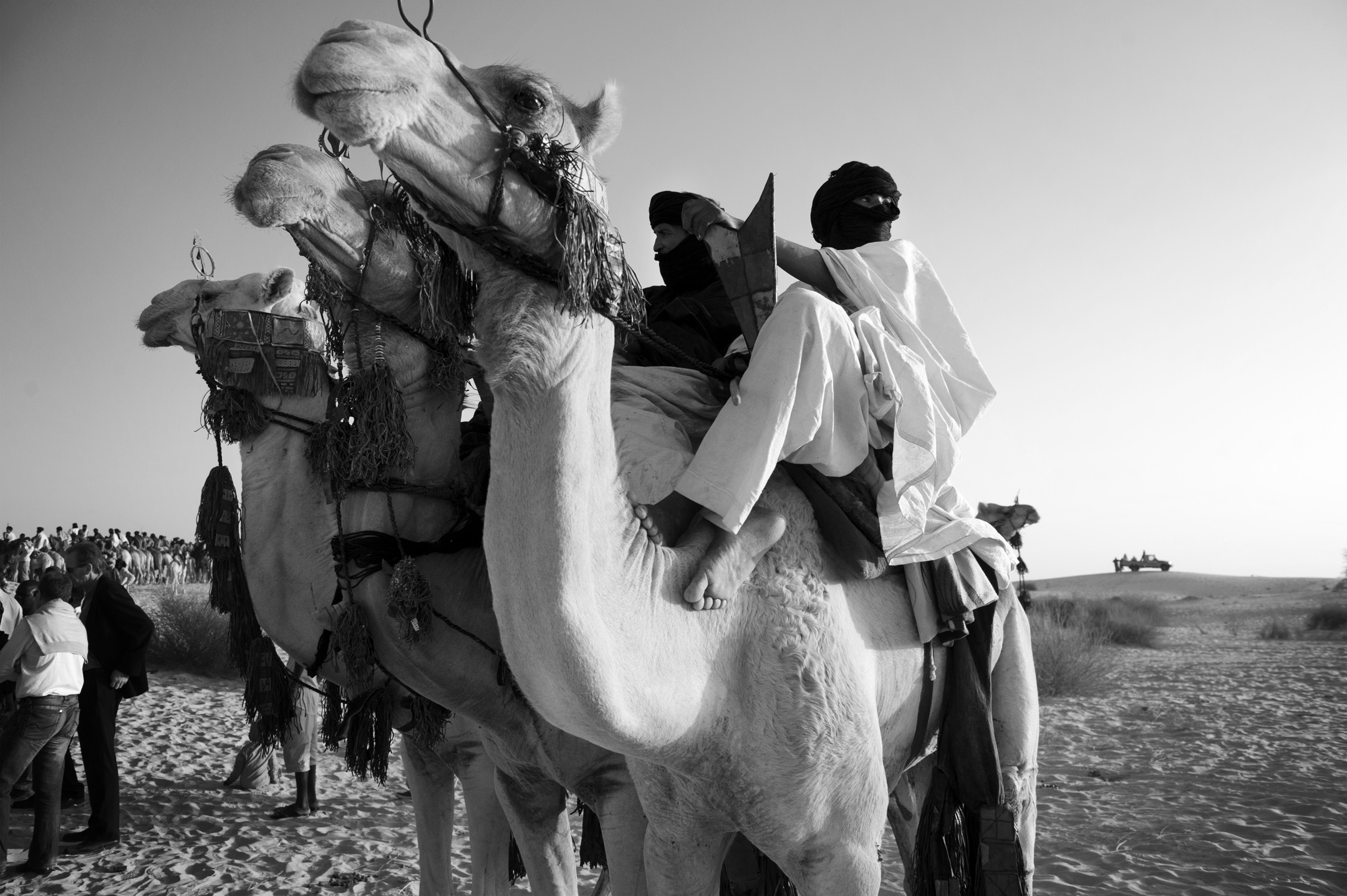 Tuareg Camel Riders.jpg