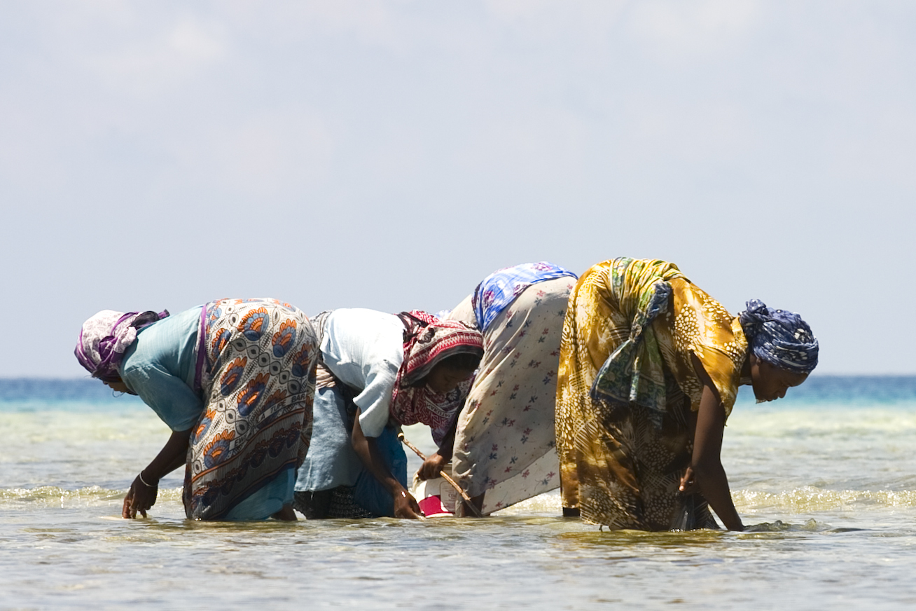 Fishing Women of Zanzibar.jpg