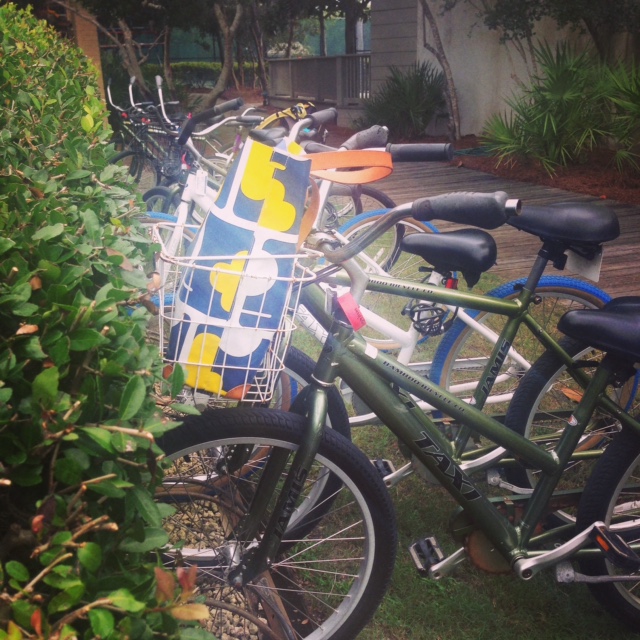 Mode of transport for the week