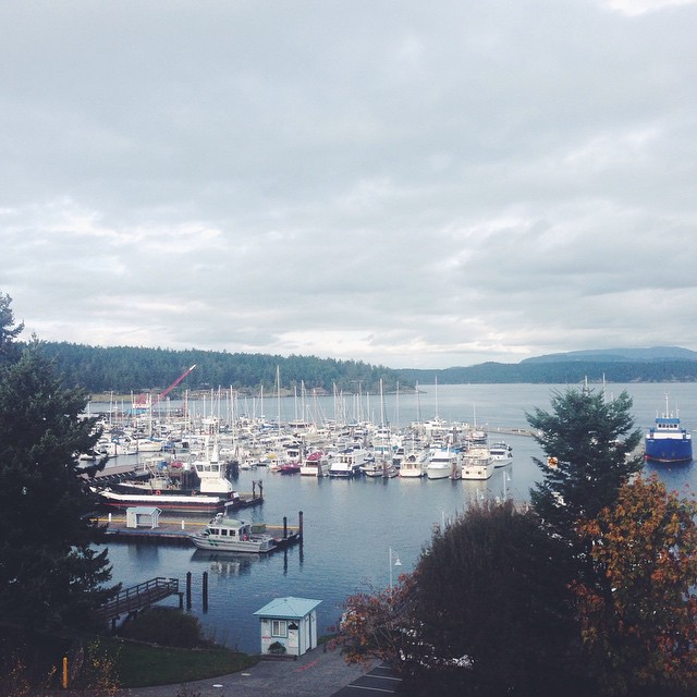 a room with a view of Friday Harbor
