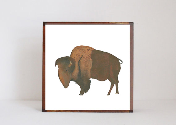 Buffalo Side View