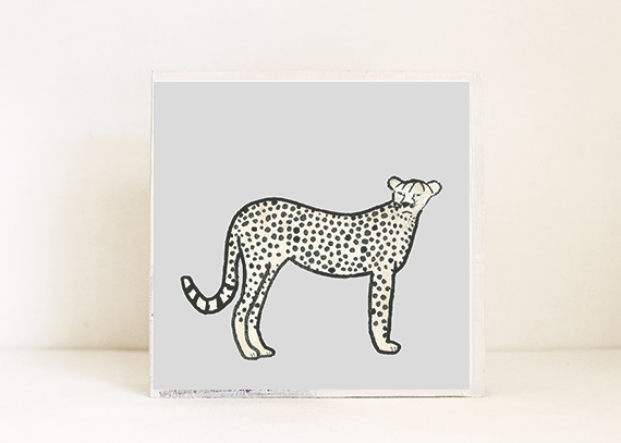 Cheetah