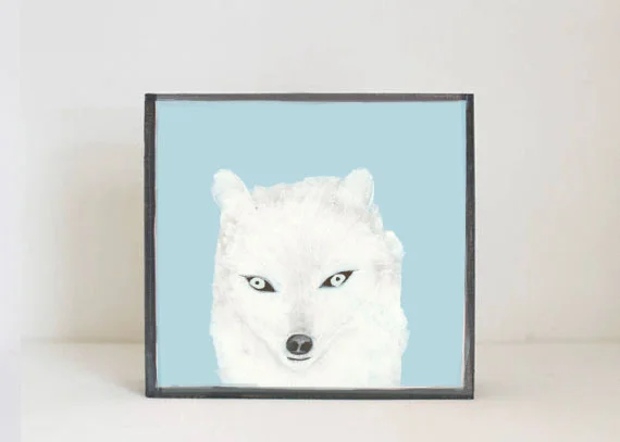 Arctic Fox