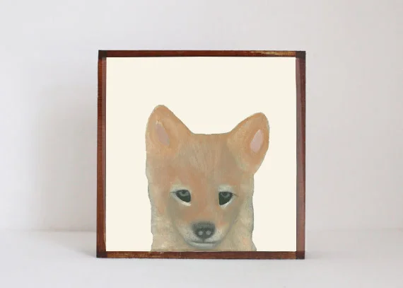 Coyote Face