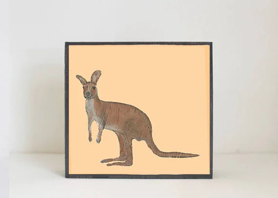 Kangaroo Side View
