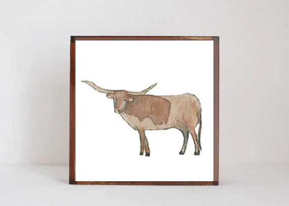 Longhorn