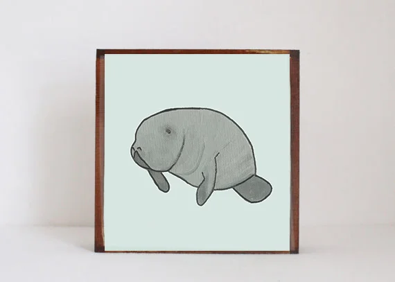 Manatee