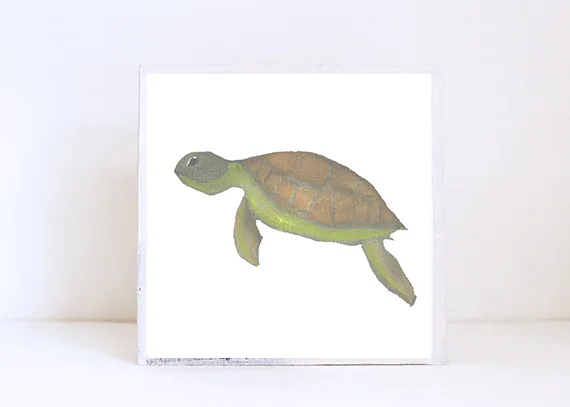 Sea Turtle