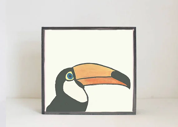 Toucan