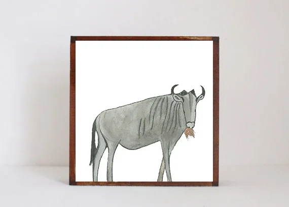 Wildebeest