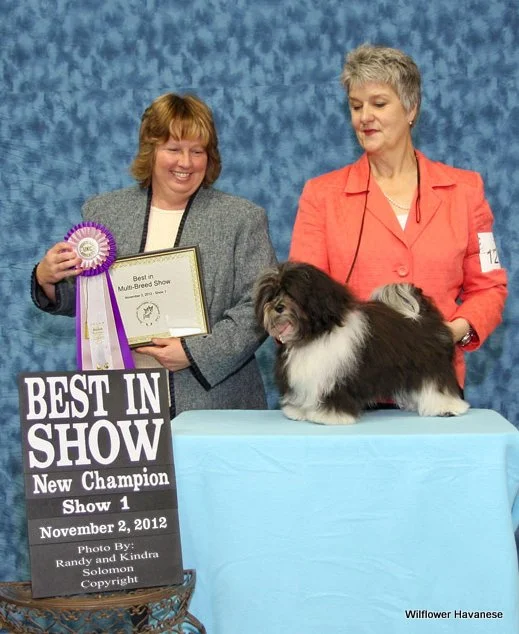 Two women, one holding a ribbon and certificate, stand next to a dog on a table at a dog show with a "Best In Show" sign and award details.