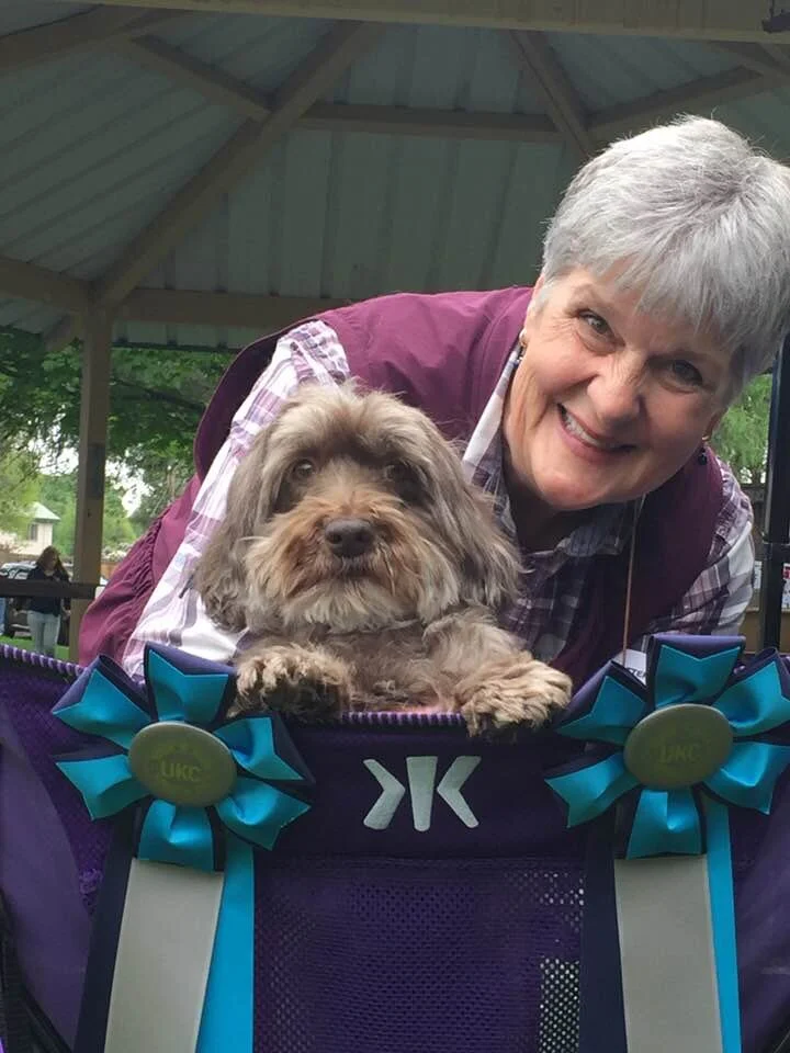 Smiling woman with short gray hair leaning over a purple pet carrier with blue ribbons, containing a small brown dog with curly fur.