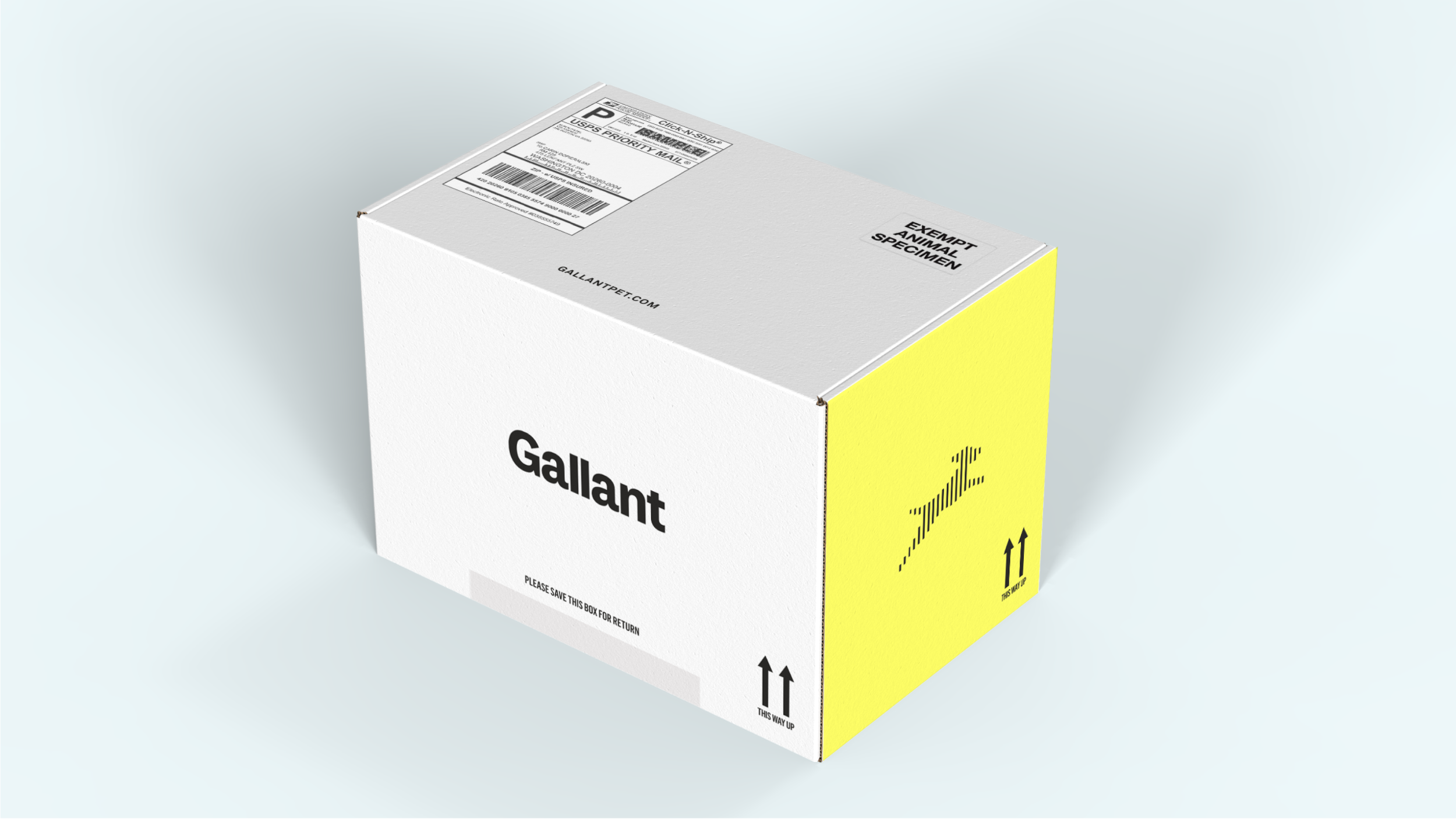 Gallant-25.png