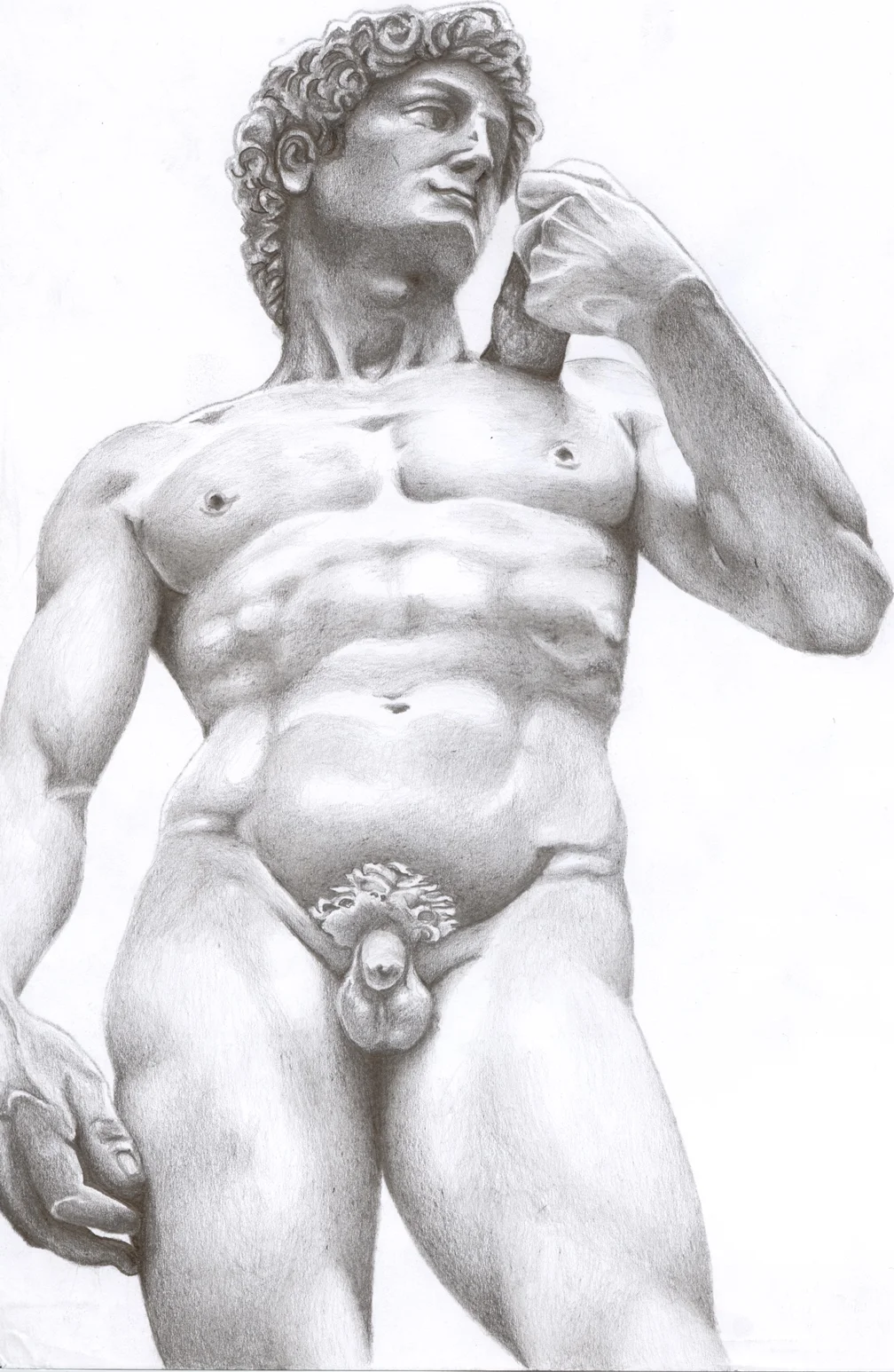 david0001.jpg