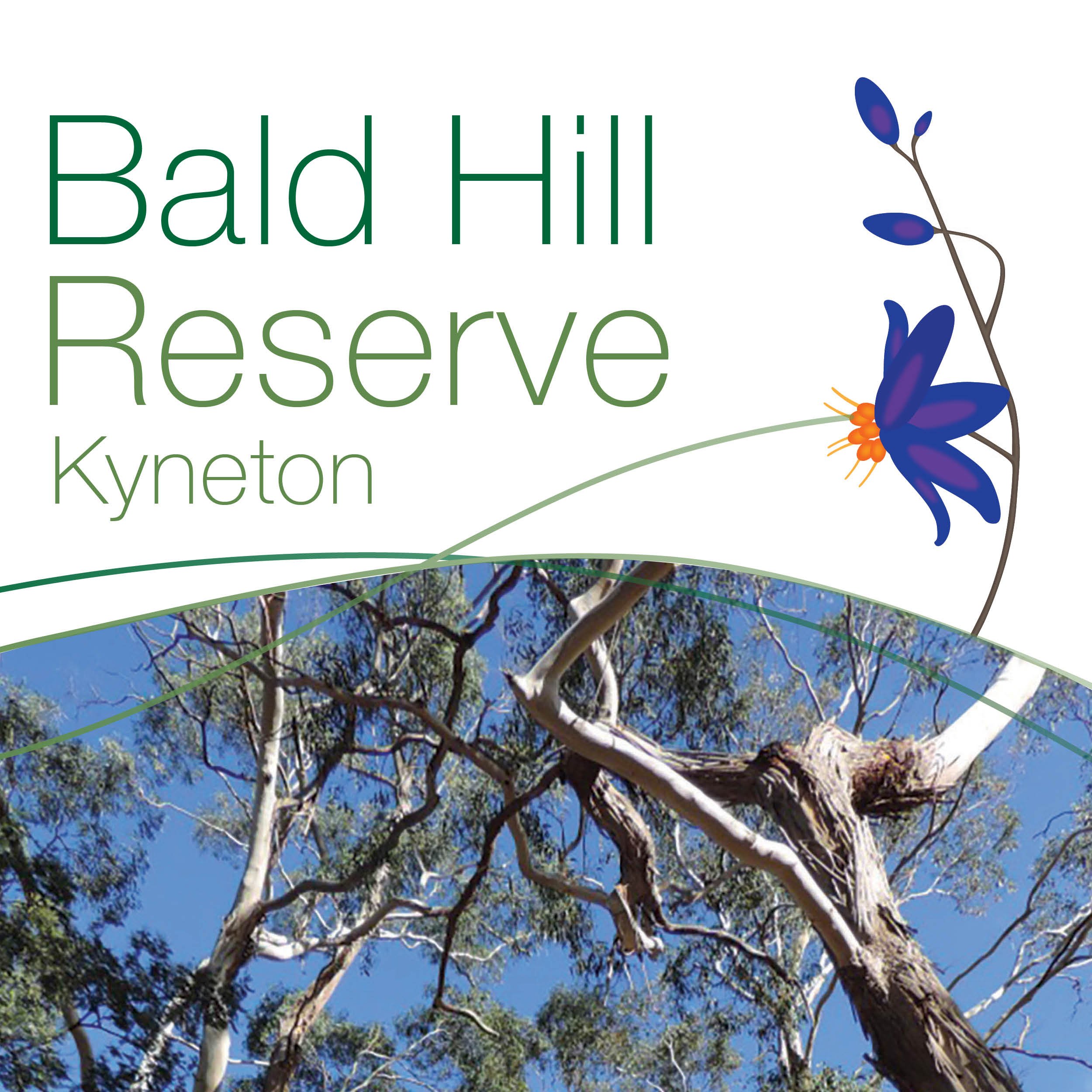 15 Friends of Bald Hill Reserve.jpg