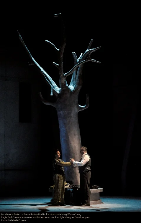 Tristan act 2 venice.jpeg