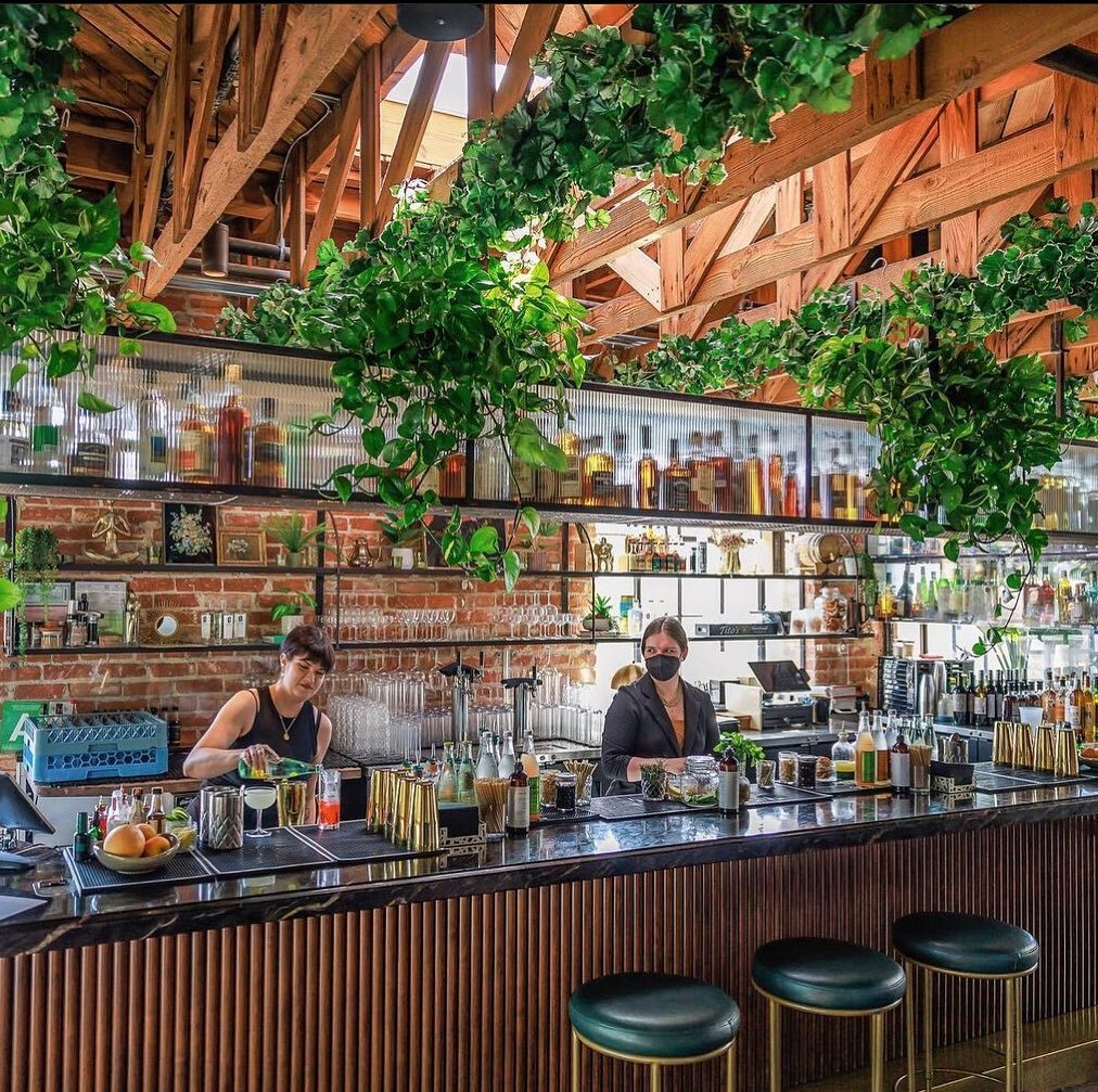 Our latest hospitality project - we added lush greenery to the rafters of @barbohemien. We are in love with how it turned out. Photo credit: @citizenpublicmarket 

#plantinstallation #hospitalitydesign #interiordesign #losangeles