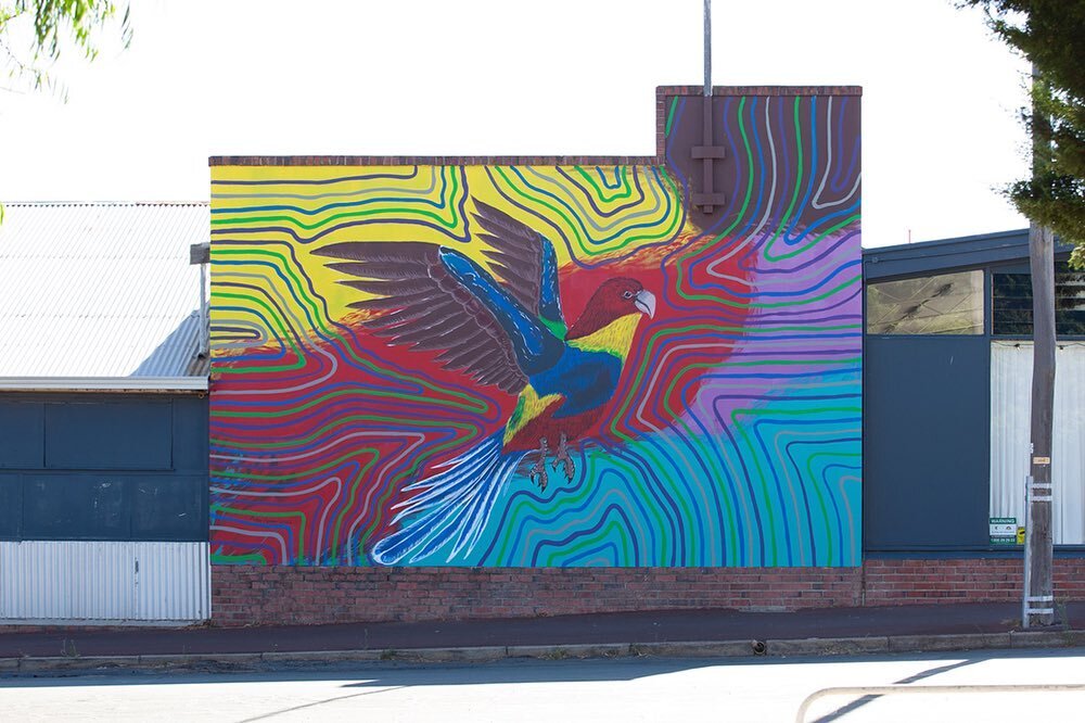 We had the privilege of managing this incredible mural commission on behalf of the Shire of Katanning created by the inspiring Peter Farmer Jnr, located on the corner of Clive St &amp; Amherst St, Katanning. 

Artist statement: BARDINAR BIDDI&rsquo;S