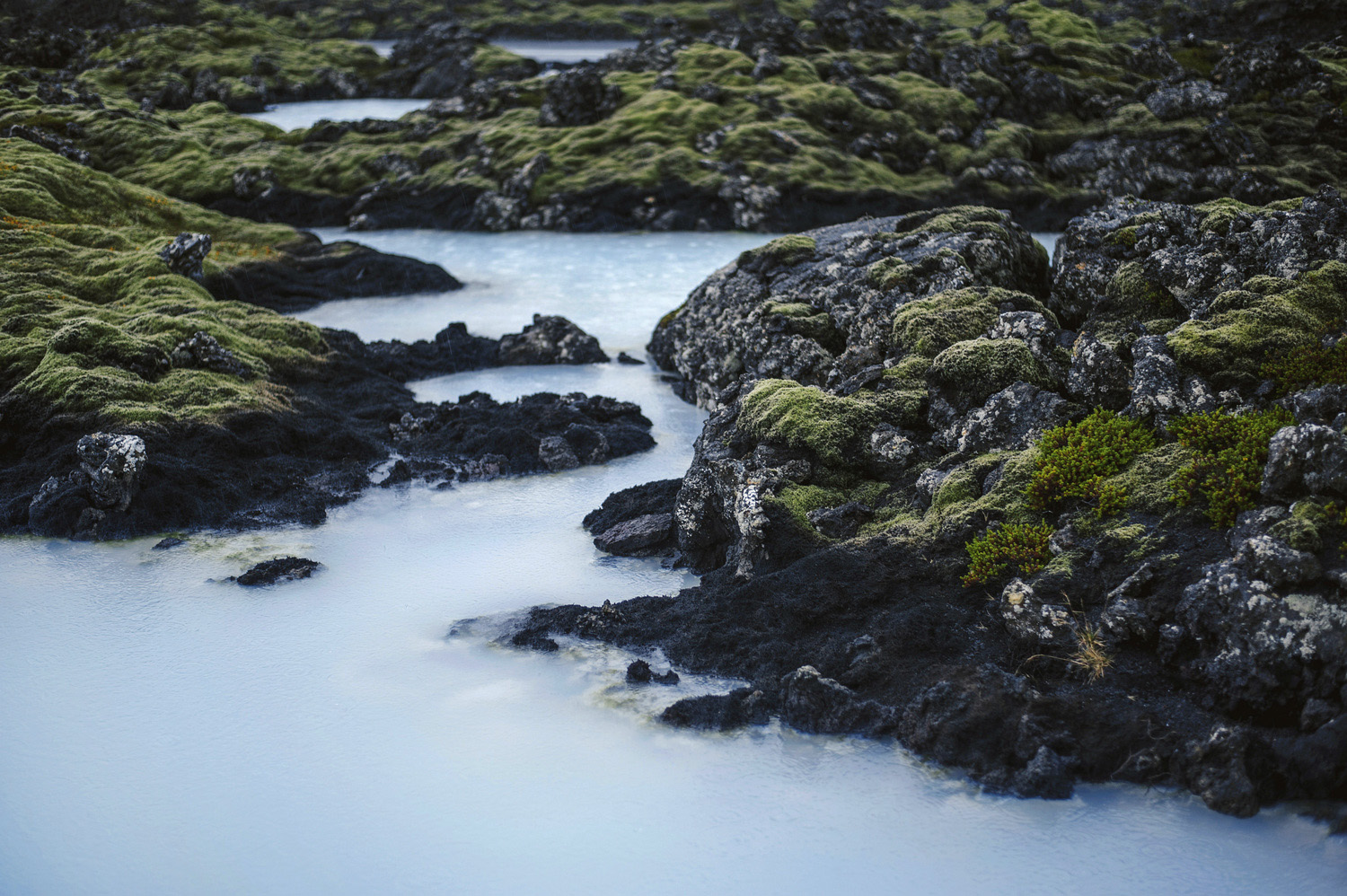 Blue Lagoon