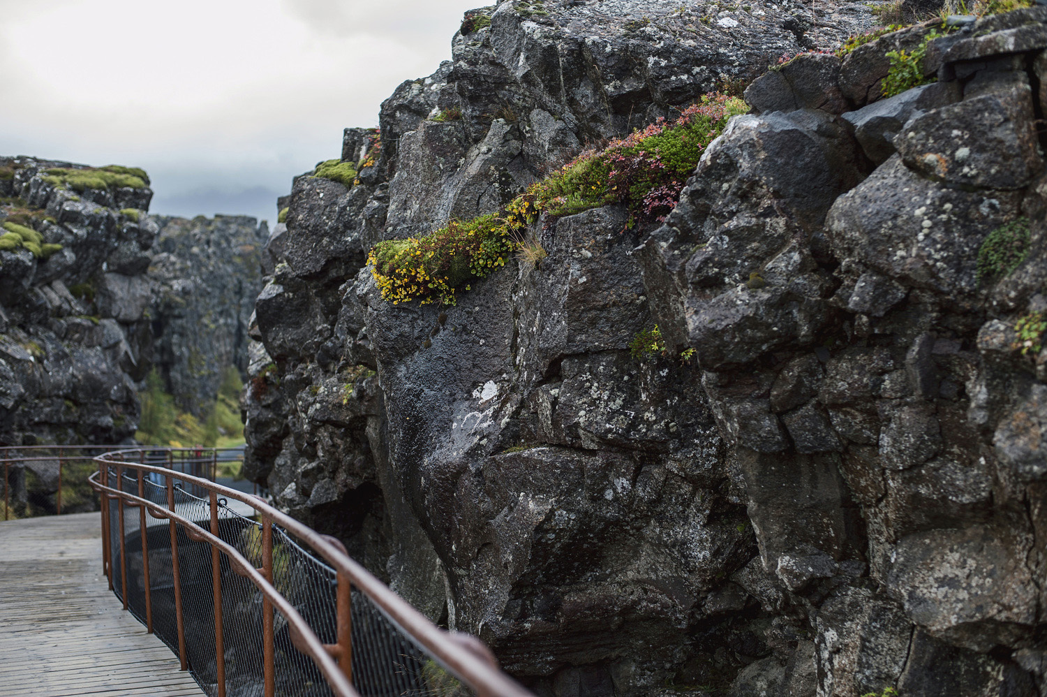 Þingvellir