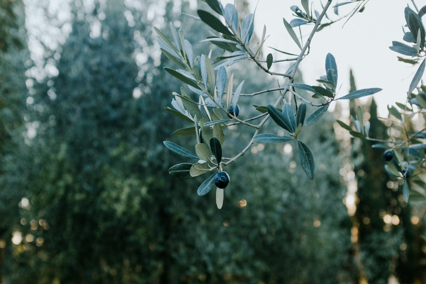   South of Florence, Italy  