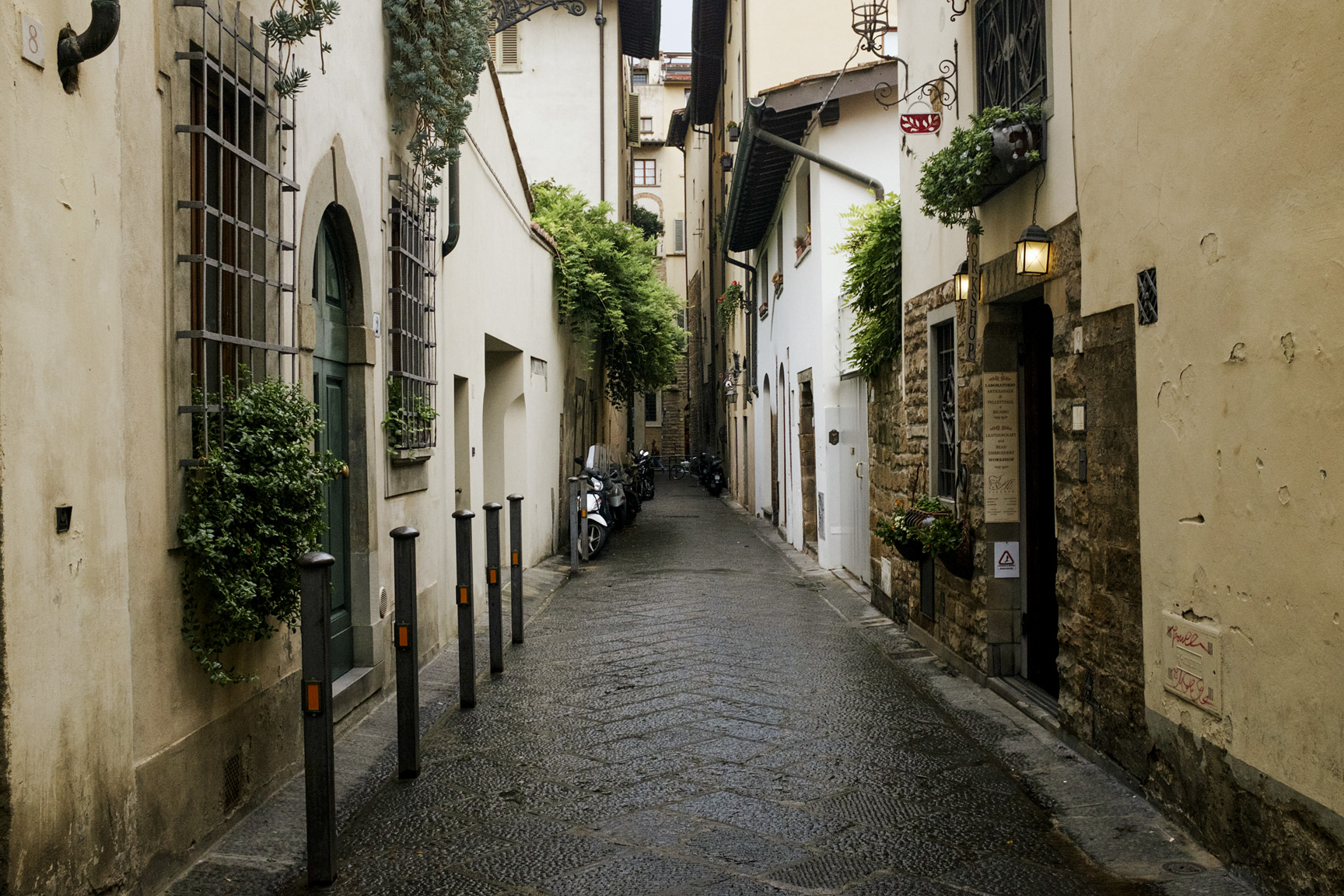 Wandering Florence