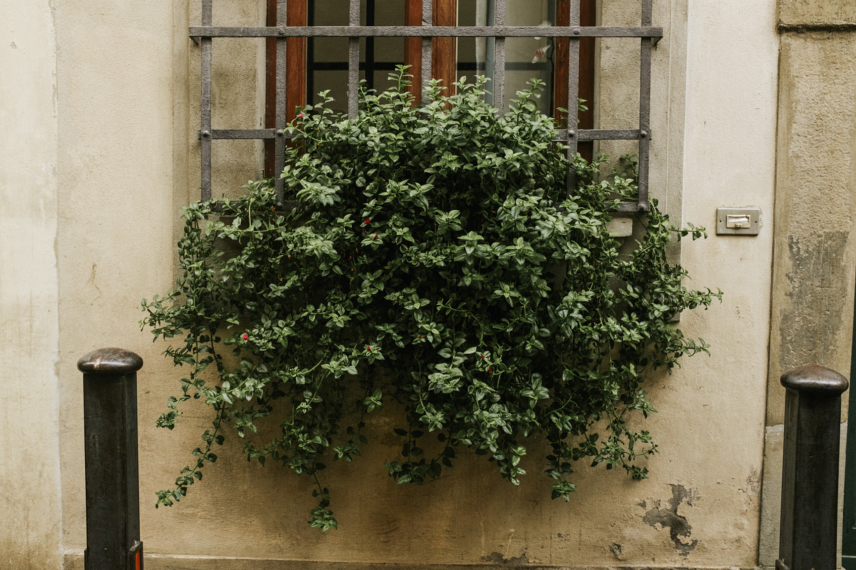   Santo Spirito, Florence  