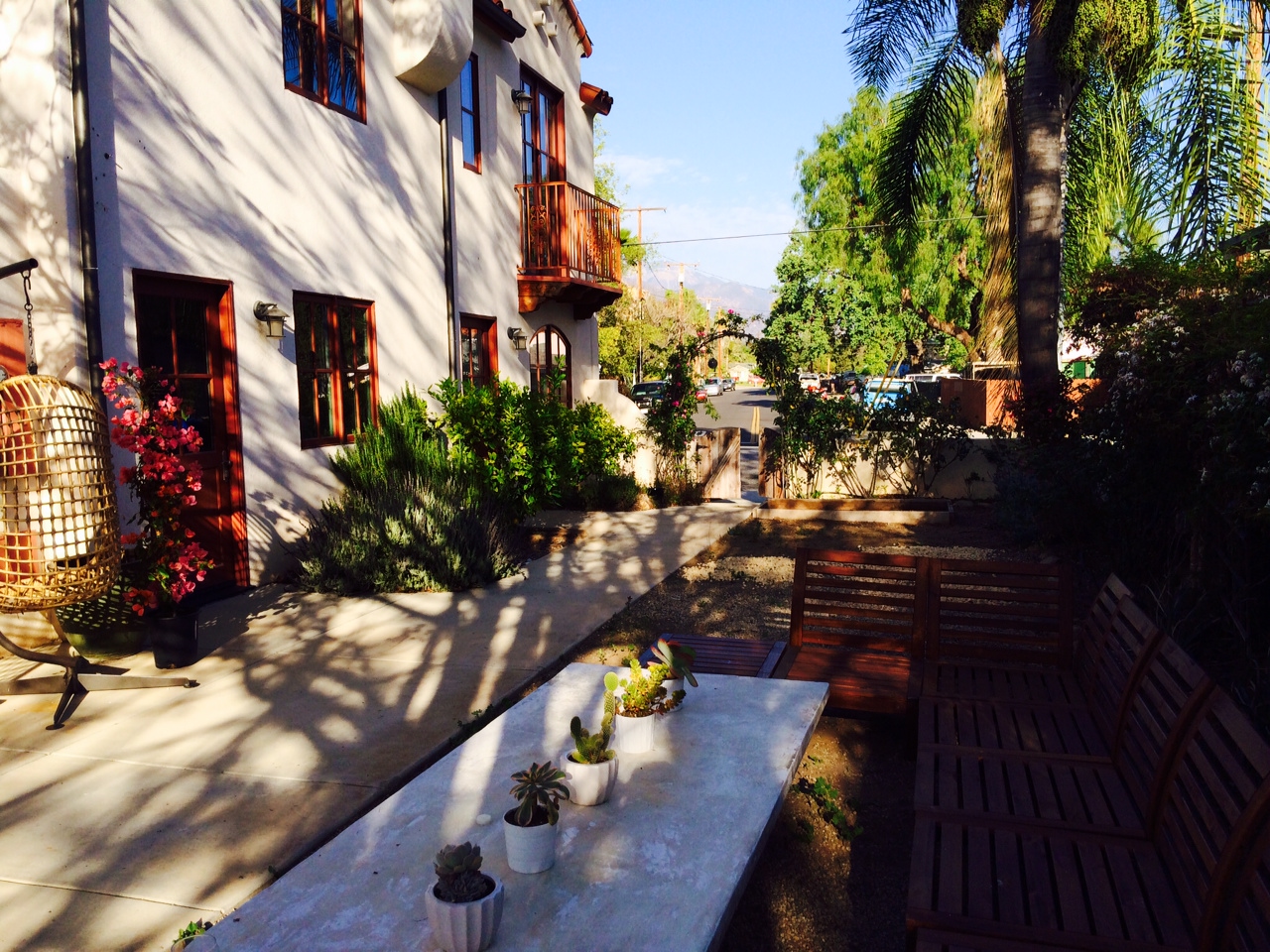 New bougainvillea--the most romantic of ornamental vines