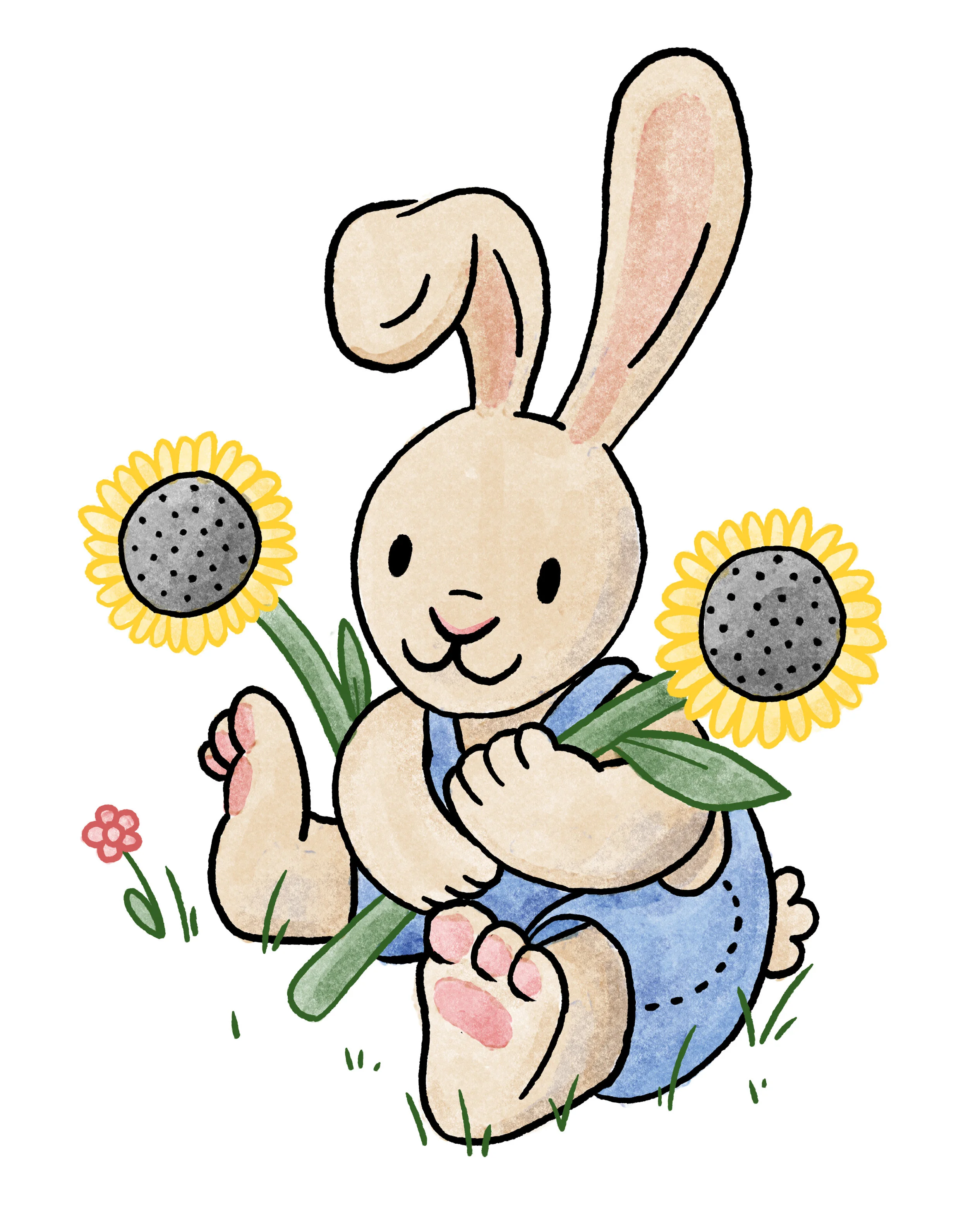 Rabbit Character