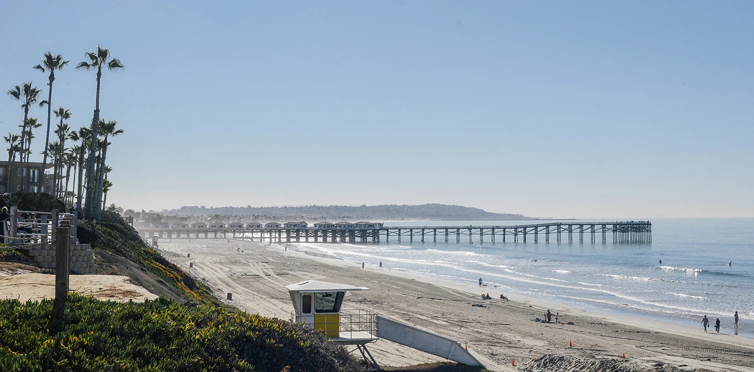 DSC_6536_1.jpg