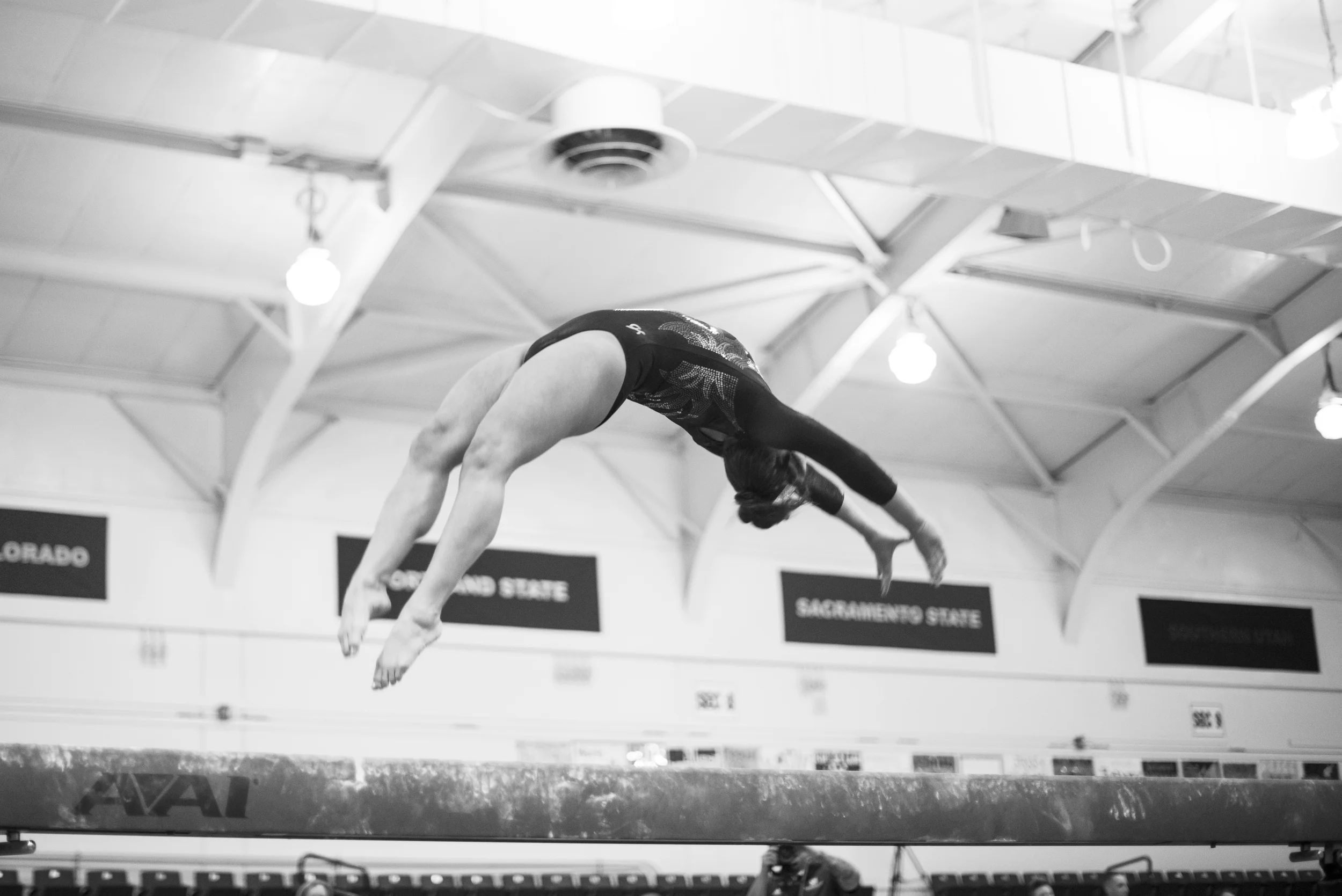 DSC_6289bw.jpg