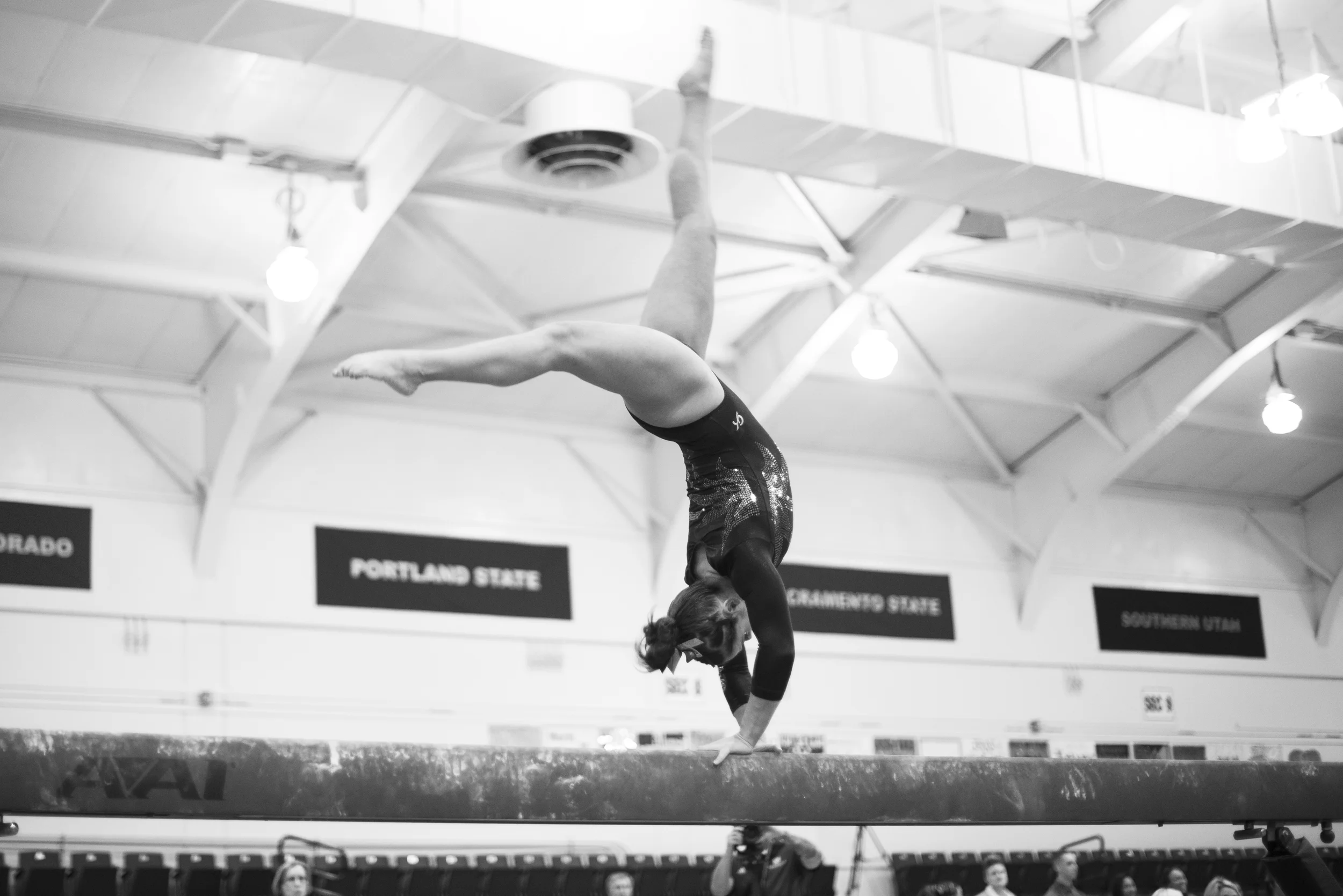 DSC_6290bw.jpg