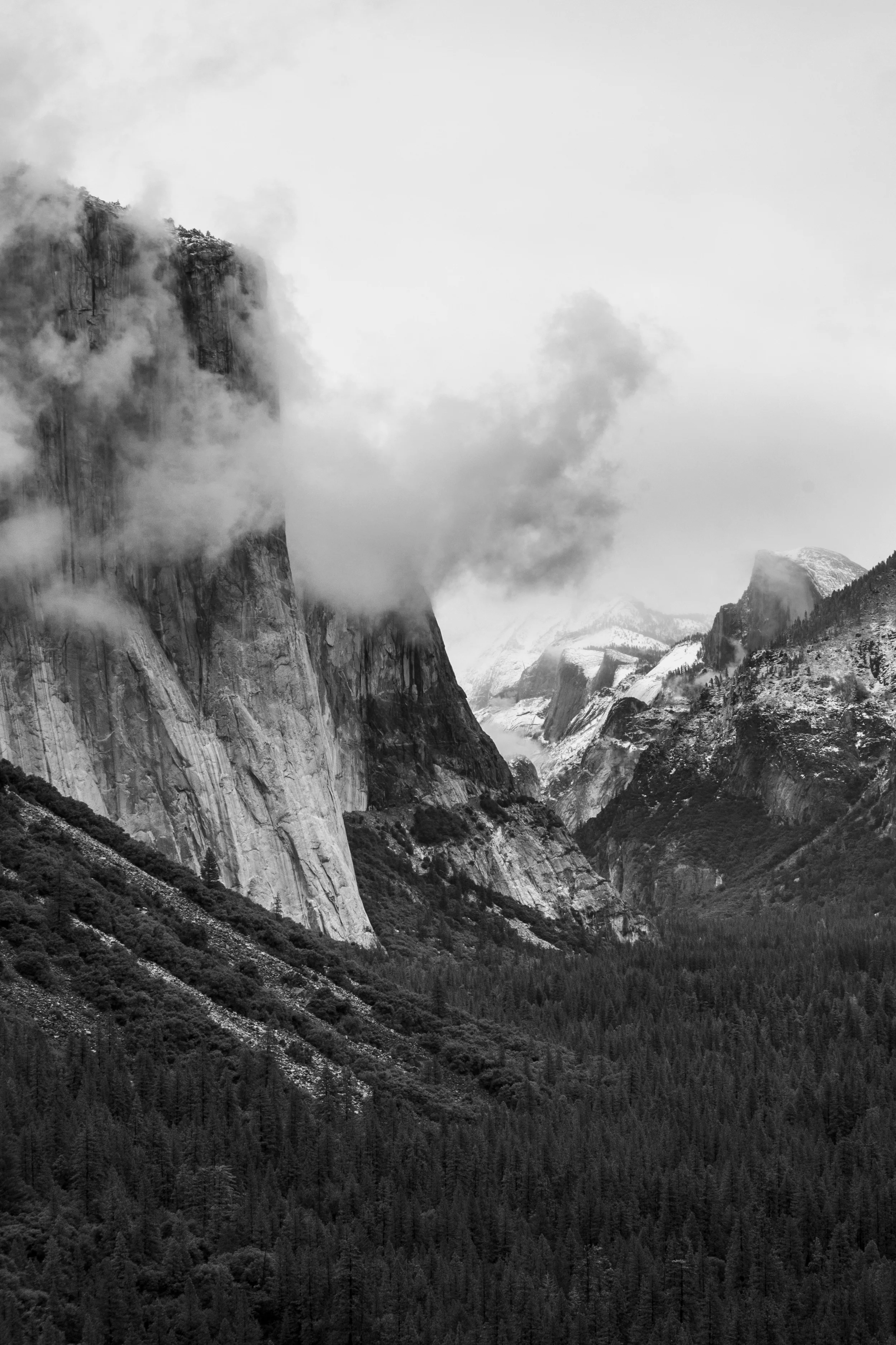 DSC_1482.jpg