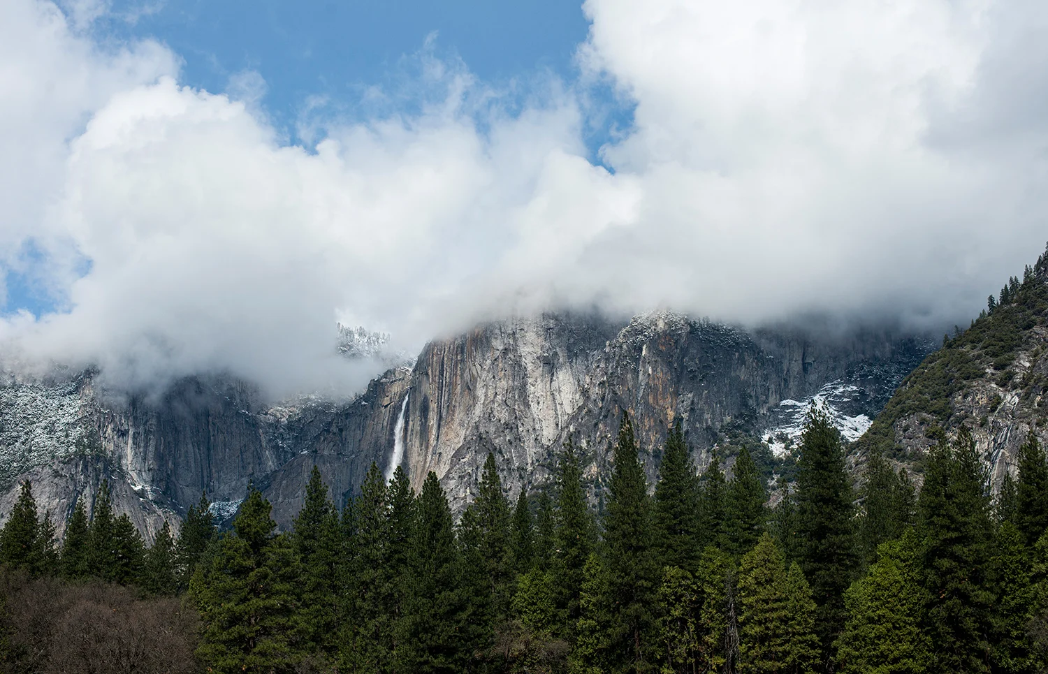 DSC_1658_1.jpg