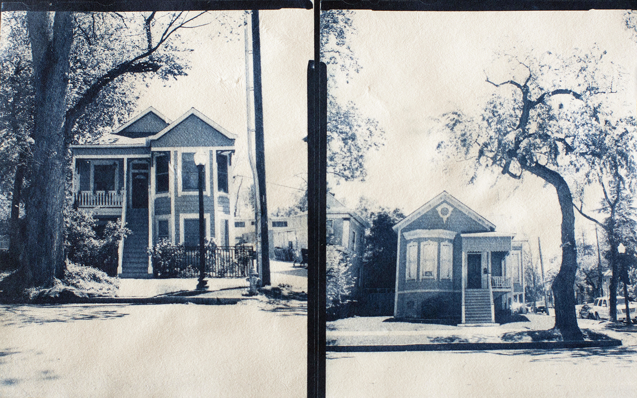 Contact prints from 4x5 film negative