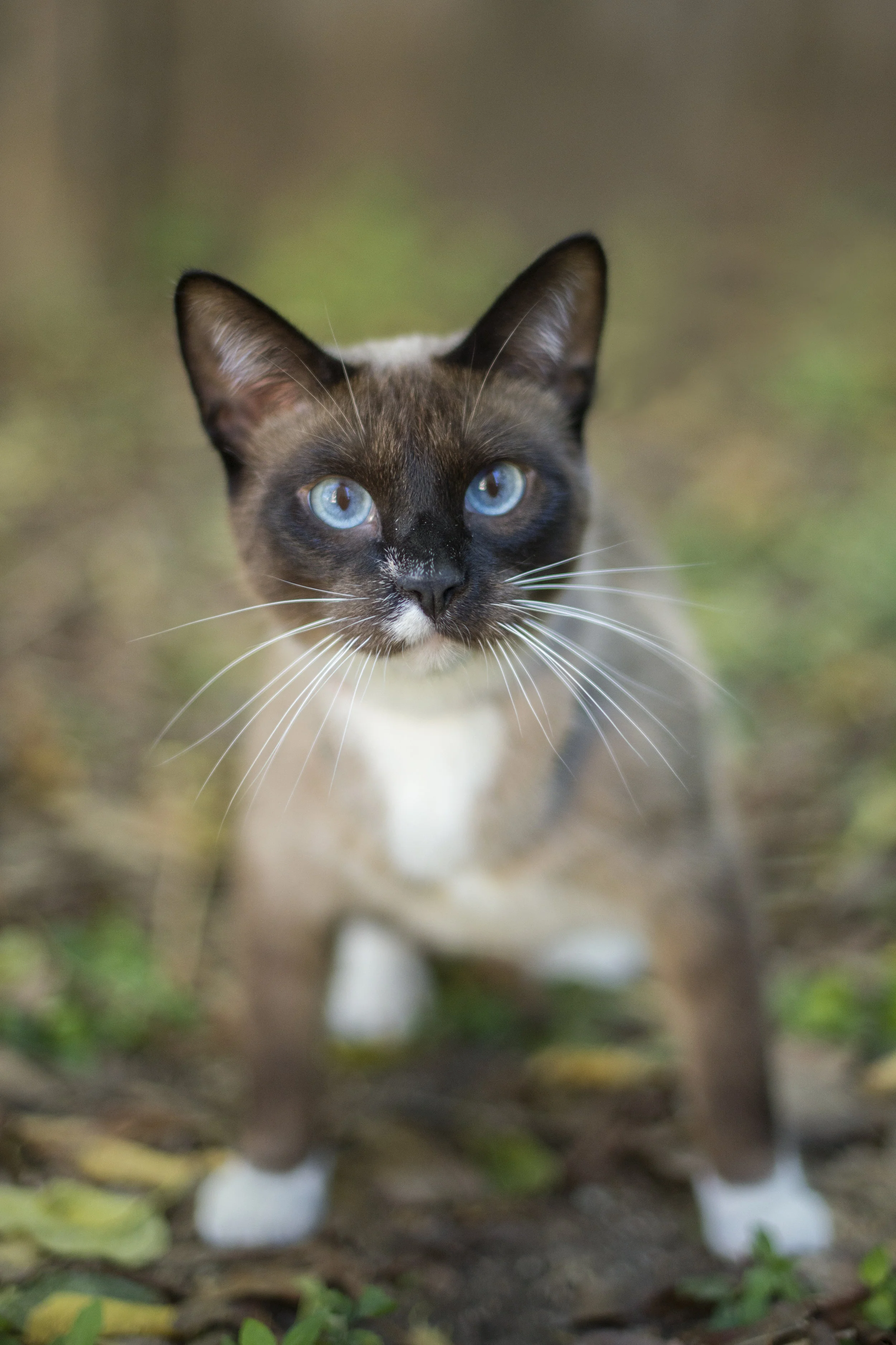 DSC_5426.jpg