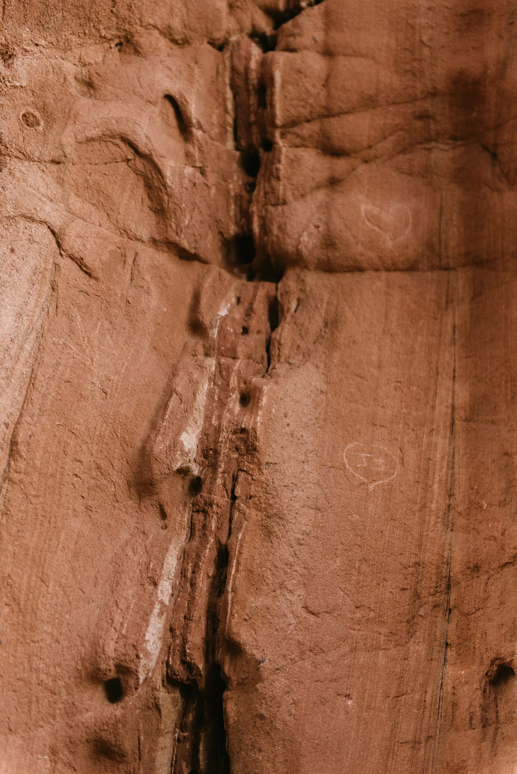 DSC_6900.jpg