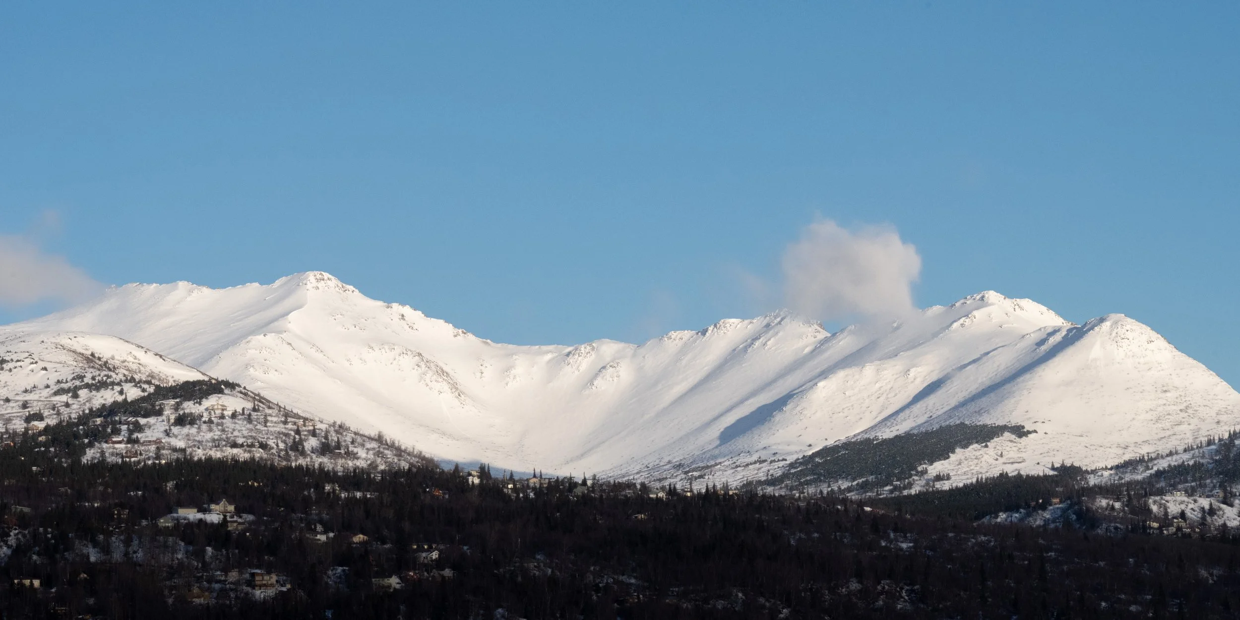 DSC_2986.jpg