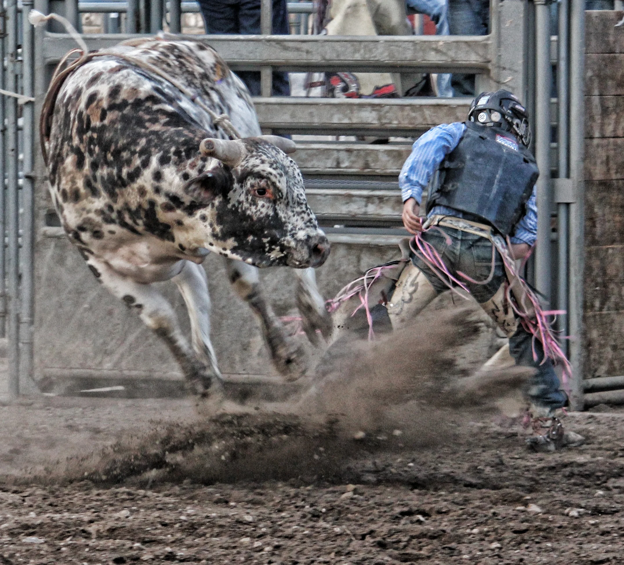 BullRiding 10.15.13.jpg