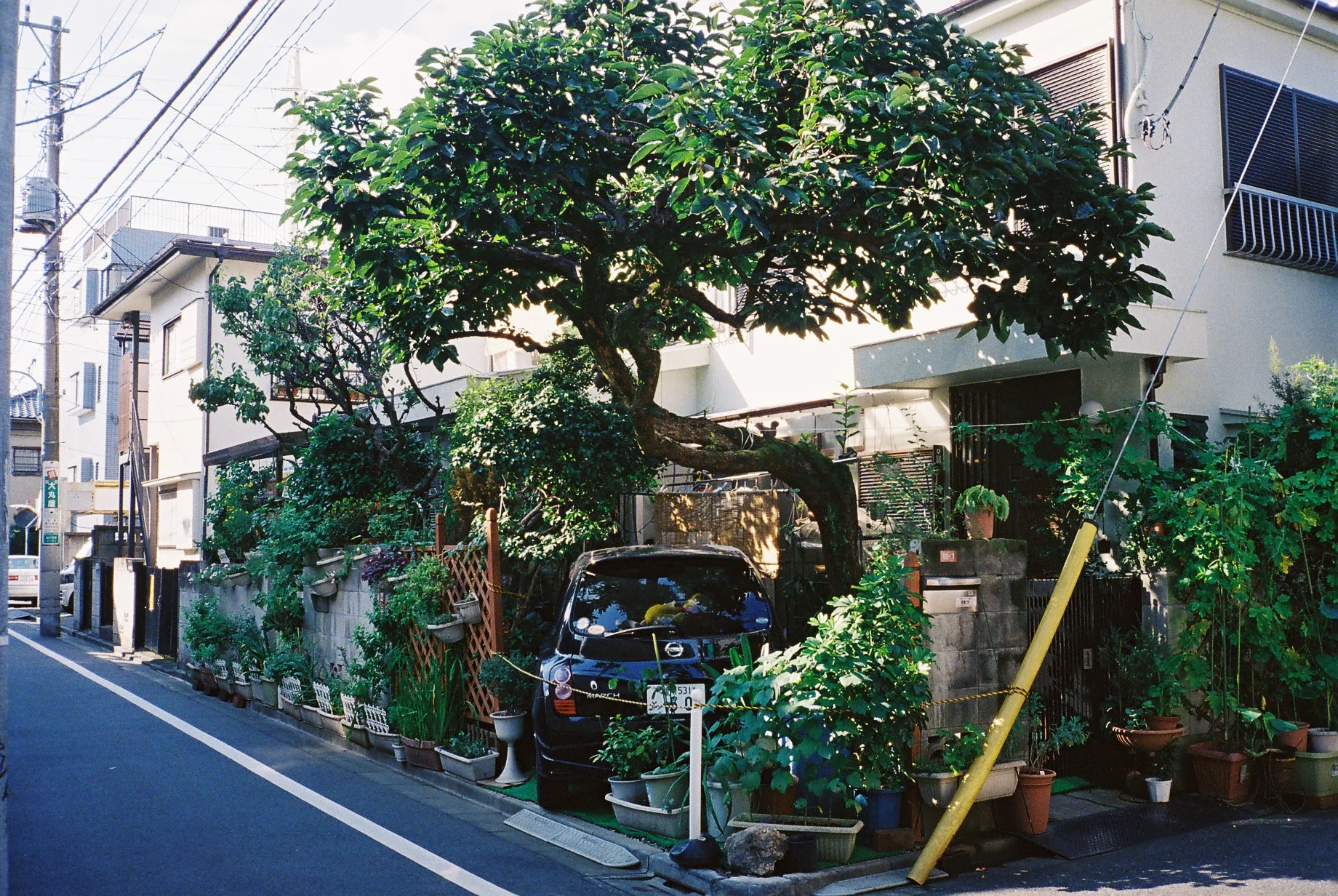  Tree garage , Tokyo , Japan , 2010 