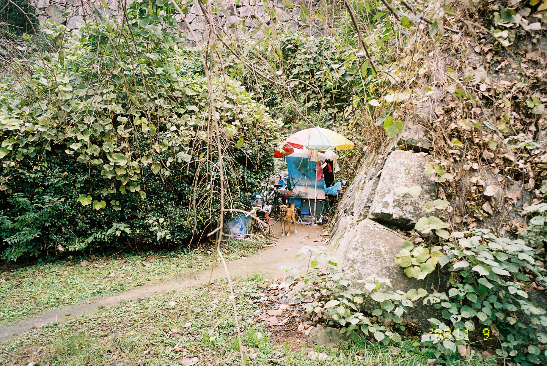  Homeless tent , Fukuoka , Japan , 2010 