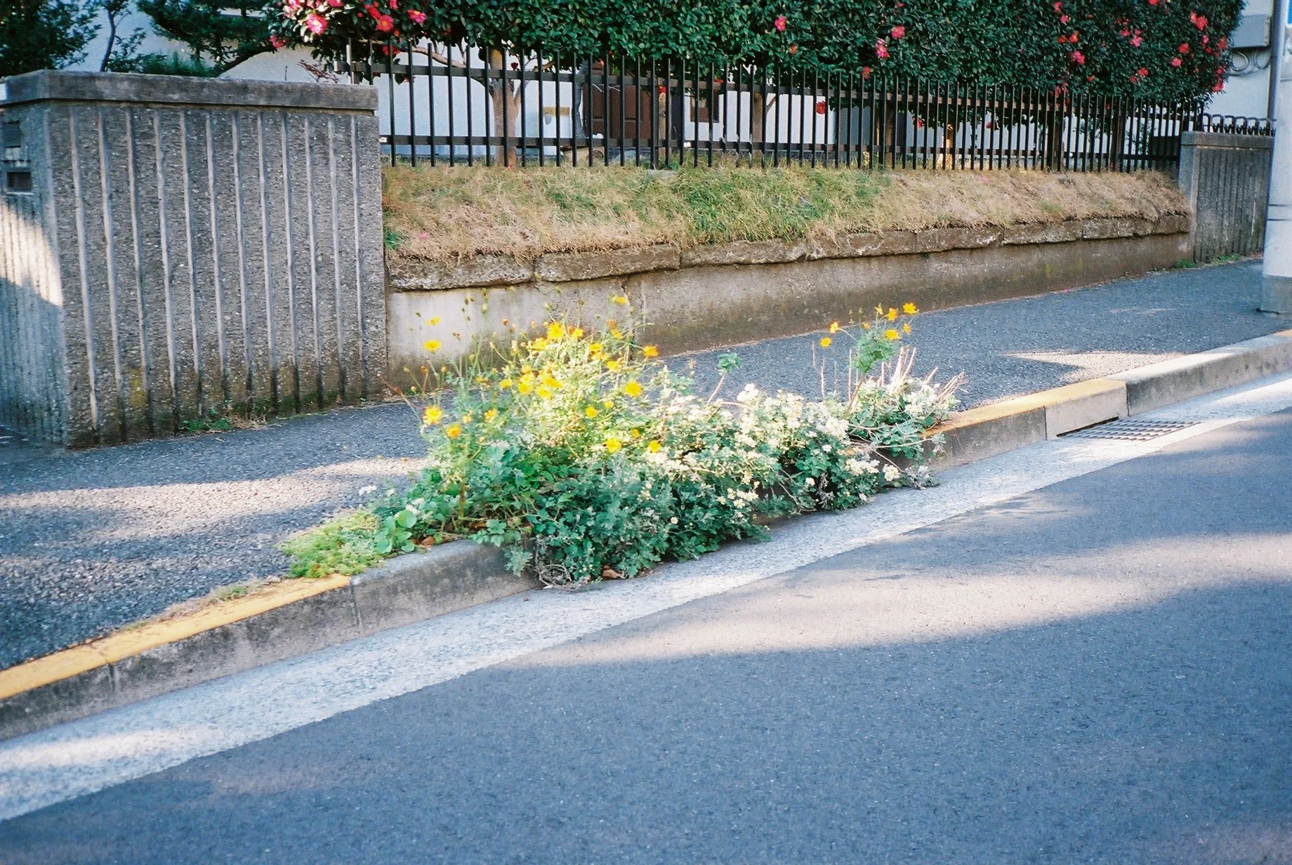  Street flower garden , Tokyo , Japan, 2010 
