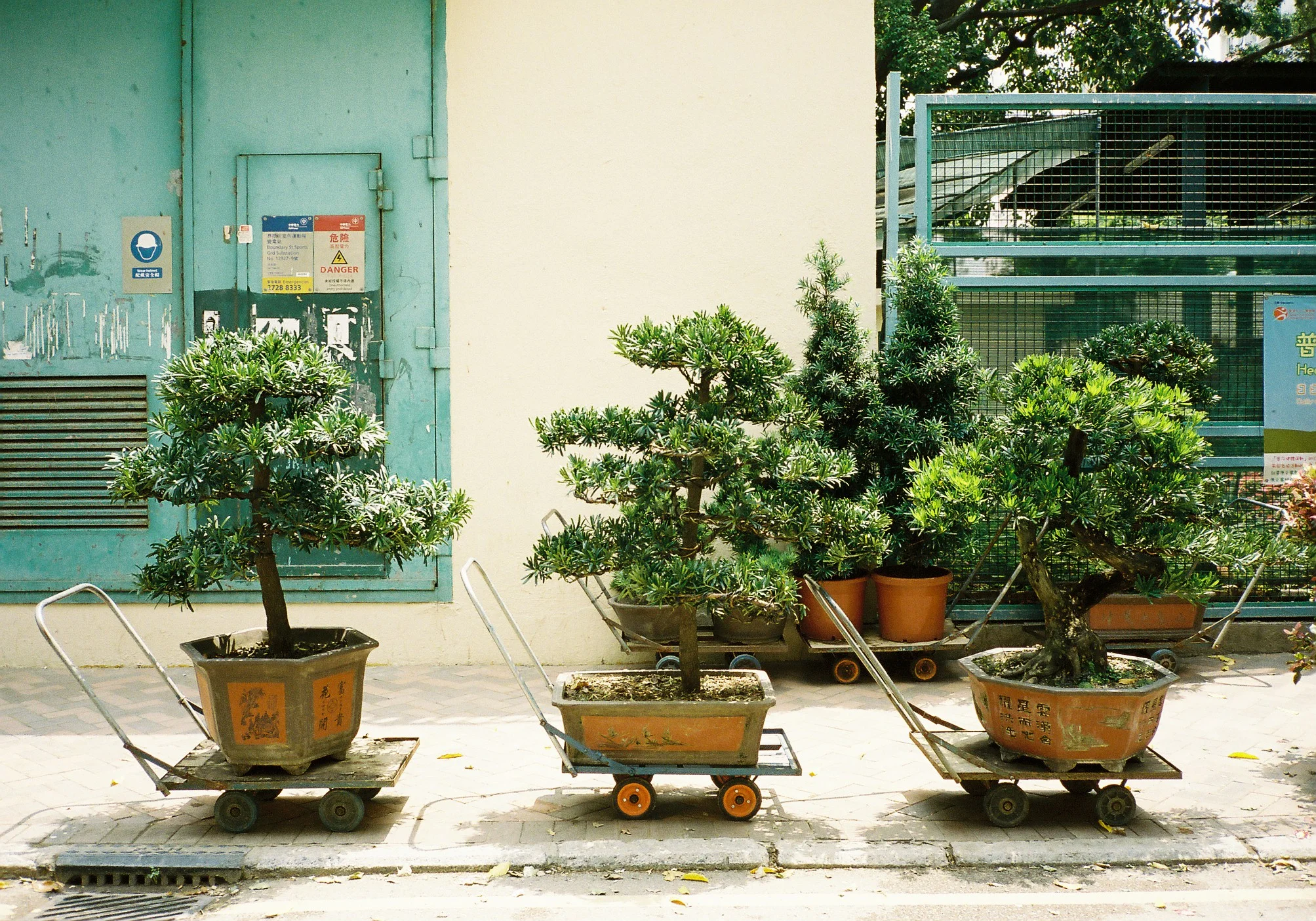  Mobile garden 03, Hong Kong, 2012. 