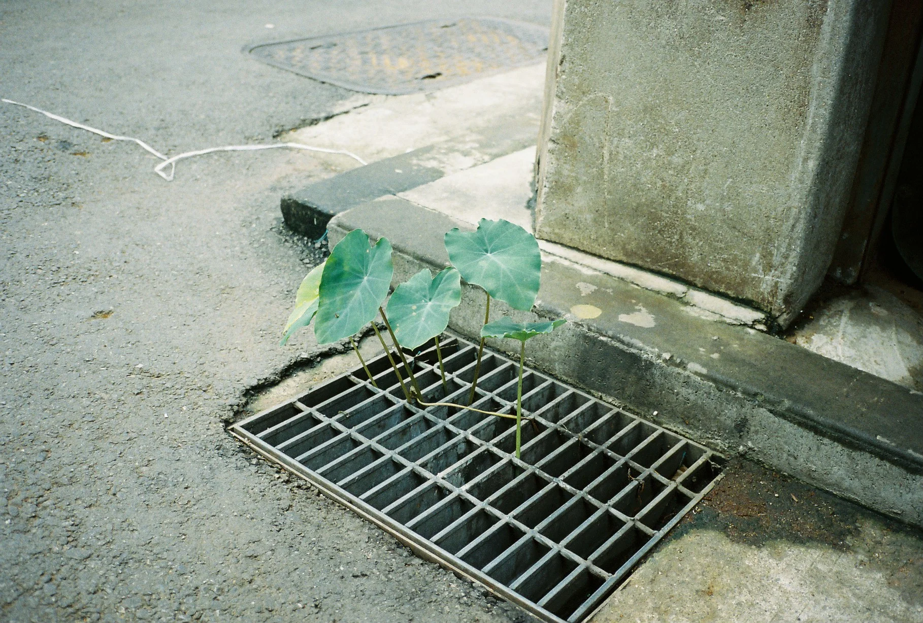  Untitled , Seoul , 2012 